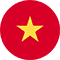 vn