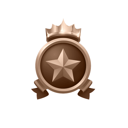 MCW VIP Bronze